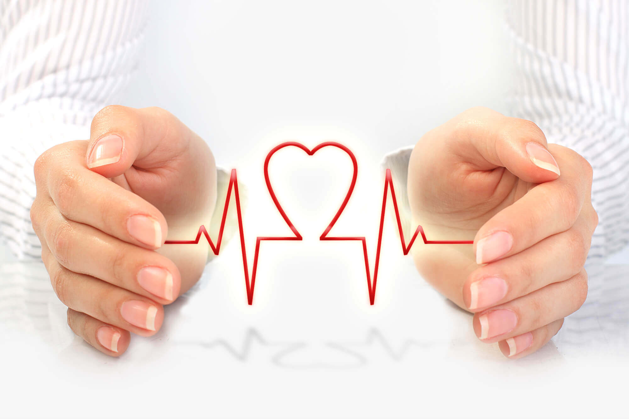 white hands holding a pulse shaped as a heart